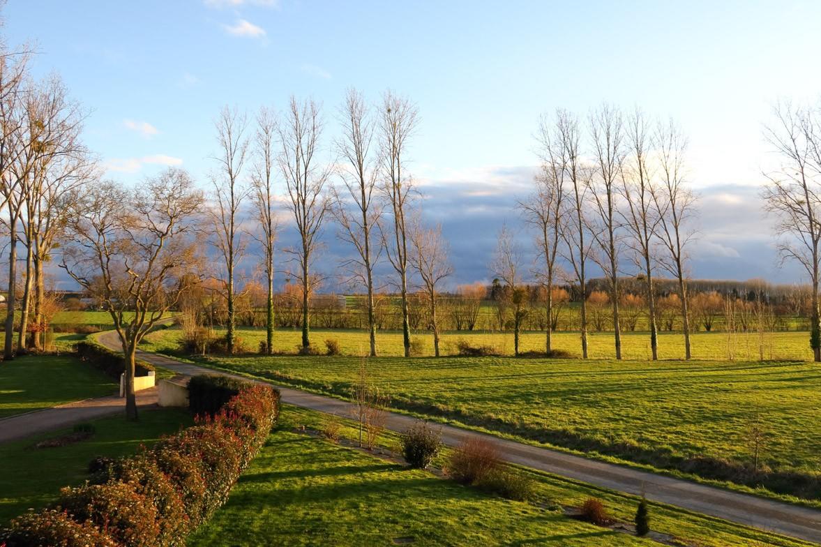 Bed and Breakfast Domaine De La Fontaine Chavagne Zewnętrze zdjęcie